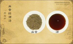 麻黄醇酒汤