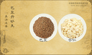 巴豆丹砂丸