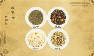 麻黄汤