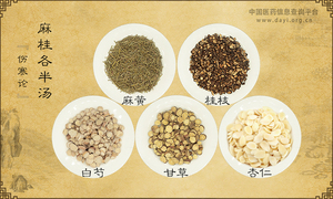 麻桂各半汤