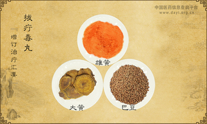 拔疔毒丸