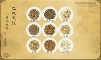 巴戟天饮