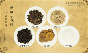 增液承气汤