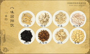 八味回阳饮