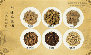 加味乌药汤