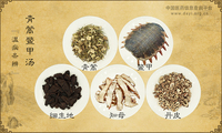青蒿鳖甲汤