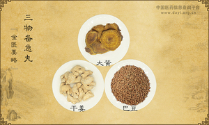 三物备急丸