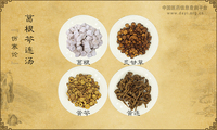 葛根芩连汤