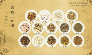 麻桂二陈汤