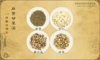 麻黄甘草汤