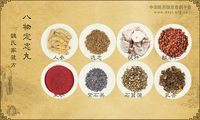 八物定志丸