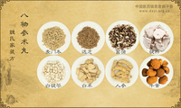 八物参术丸