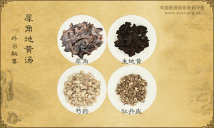 犀角地黄汤