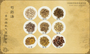 芍药汤