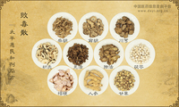 败毒散