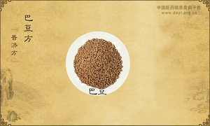 巴豆方