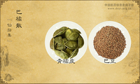 巴橘散