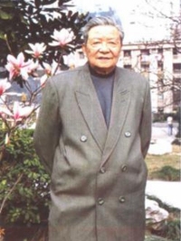 蒋文照