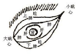 五轮学说