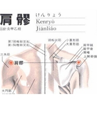 肩髎穴