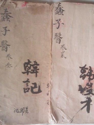 蠢子医