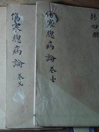 伤寒总病论