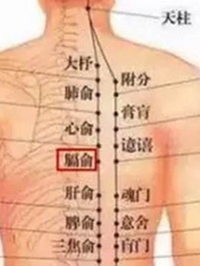膈俞穴