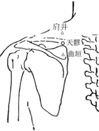 天髎穴