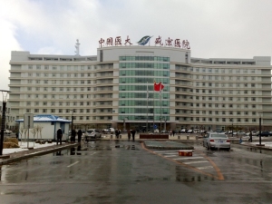 中国医科大学附属盛京医院