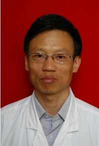 吴晨光