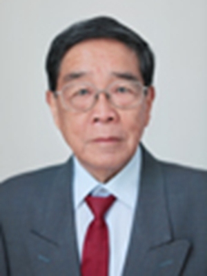 段海辰