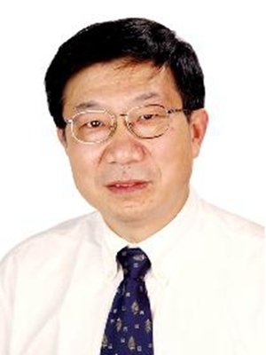 解基严