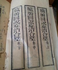 脏腑图说症治要言合璧