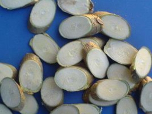 桑枝