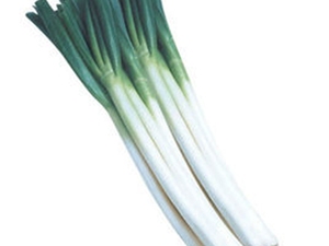 葱白