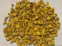 黄芩