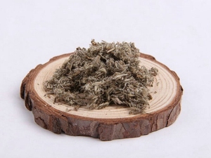 茵陈