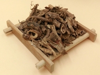 香加皮