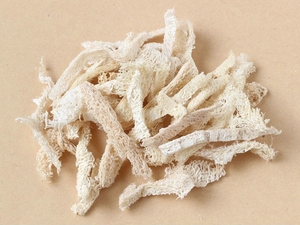 丝瓜络