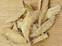 紫茉莉根