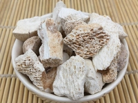 龙骨