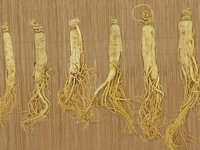 人参