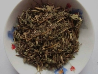 蛇含