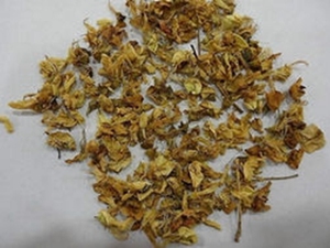 槐花