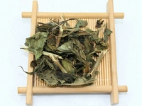 白鹤灵芝