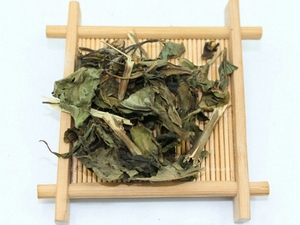 白鹤灵芝