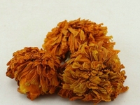 万寿菊花