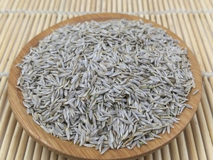 莴苣子