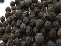 四川澄茄子