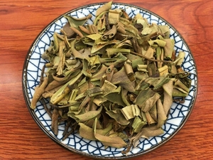 石韦